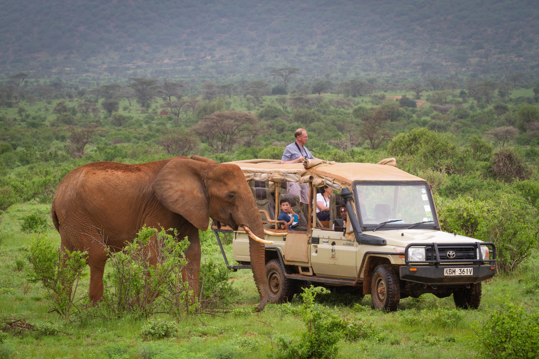 Game Drive-5 (Custom).jpg