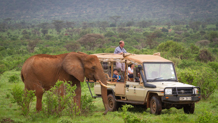 Game Drive-5 (Custom).jpg