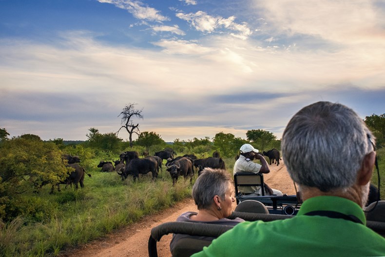 3B98-buffalo-kruger-national-park-south-africa-c-south-africa-tourism.jpg