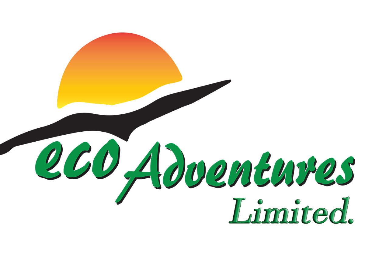 logo.png
