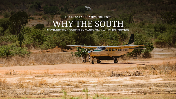 WHY+THE+SOUTH+%28Video%29.png
