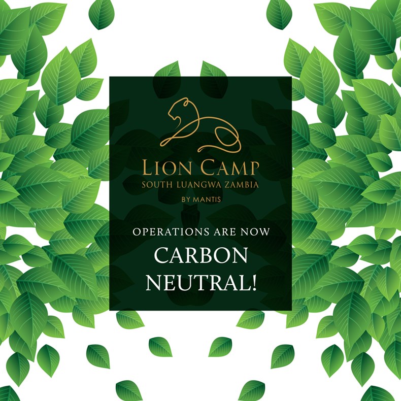 3C28-lc-carbon-neutral-leaves.jpg