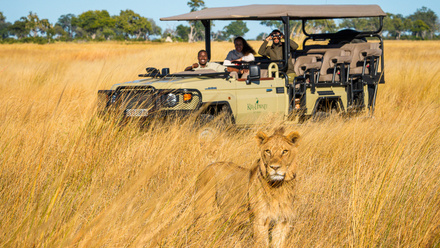 Kanana_gamedrive_lion_closeup.jpg 1
