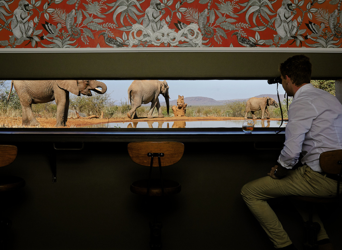Molori Safari Madikwe Game Reserve Hide.jpg
