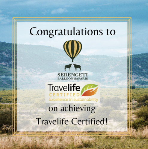Travelife Serengeti balloons.png