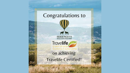 Travelife Serengeti balloons.png