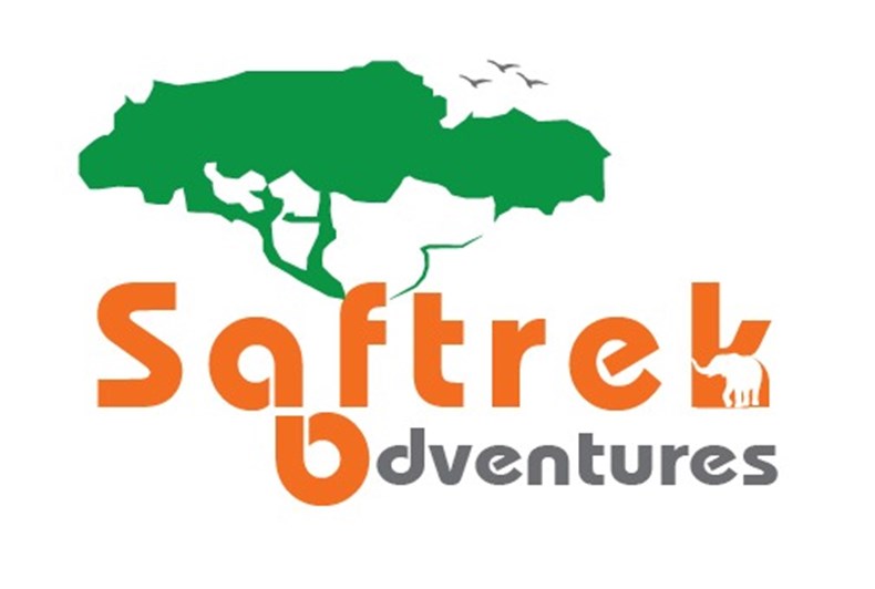 3D79-saftrek-logo.jpg