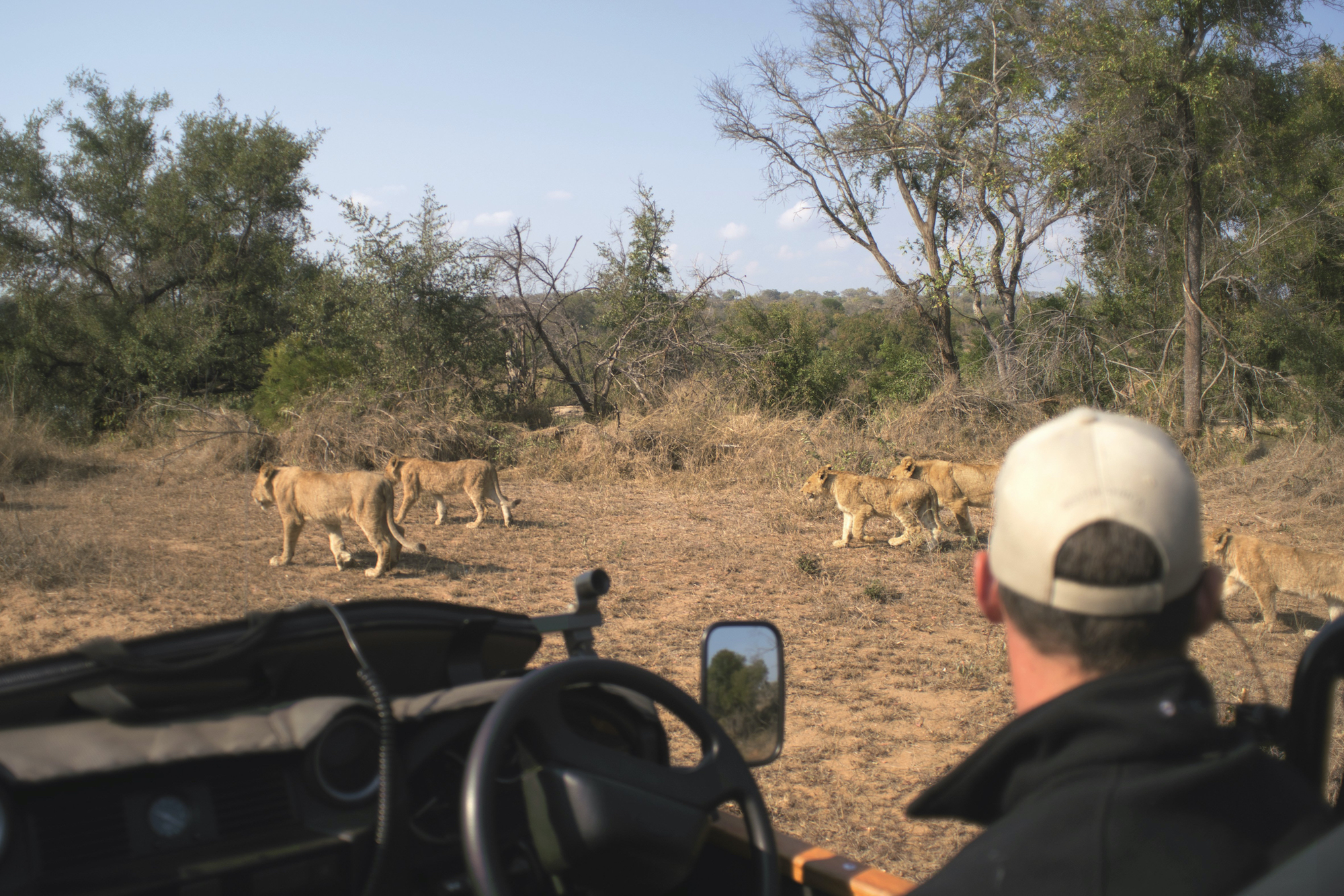Kruger National Park.jpg 3