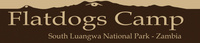 New Logo - Flatdogs LARGE.jpg