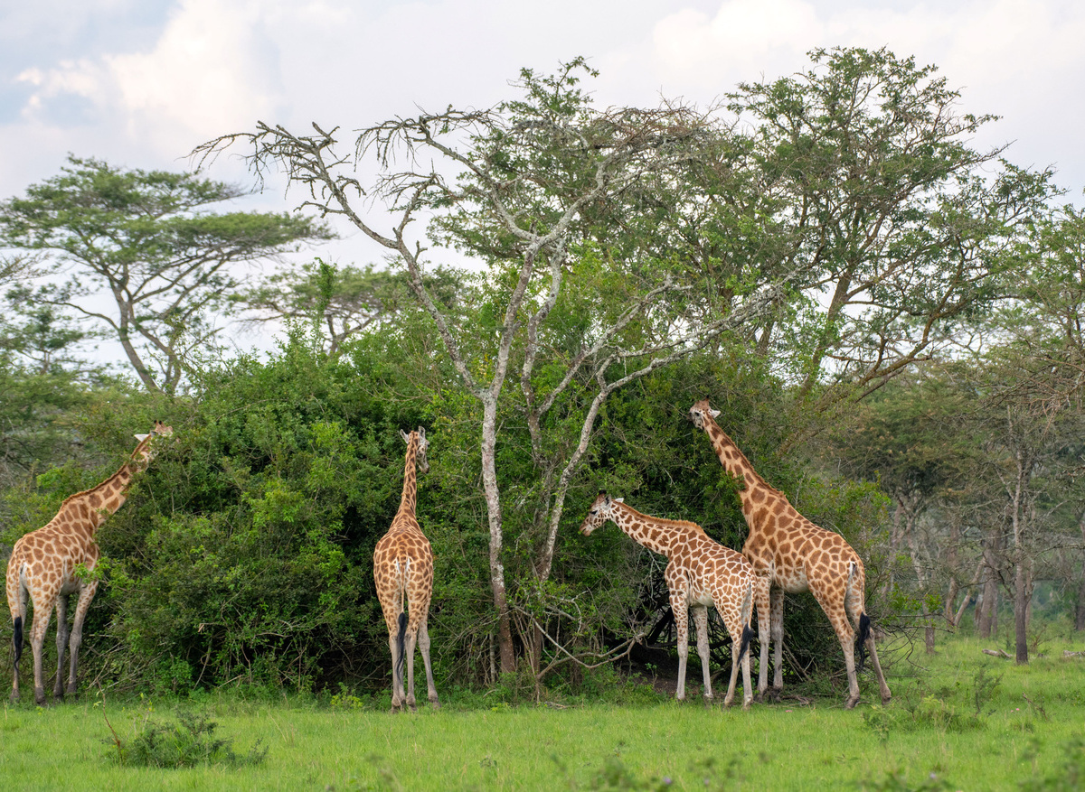 Lake Mburo National Park 