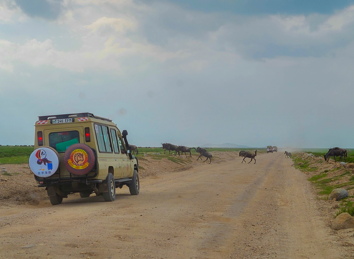 Experience the Wild with Us