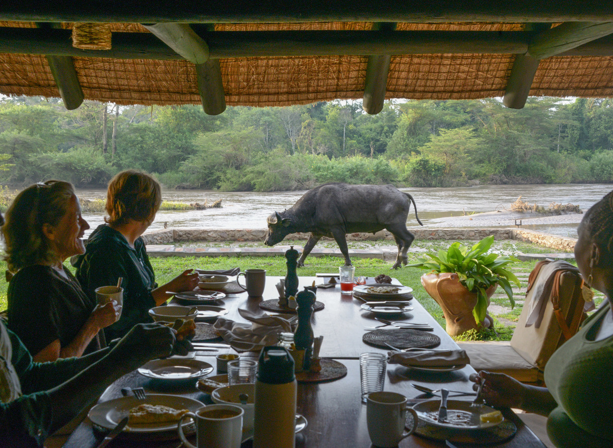 Ishasha Wilderness Camp - Dining with a view 