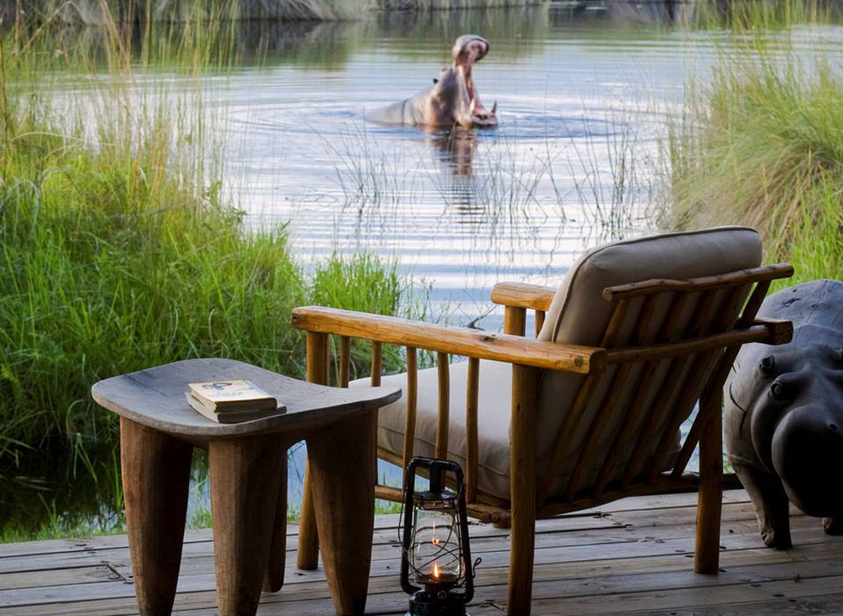 Hippo Views