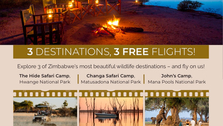 3+Free+Flights_image.jpg