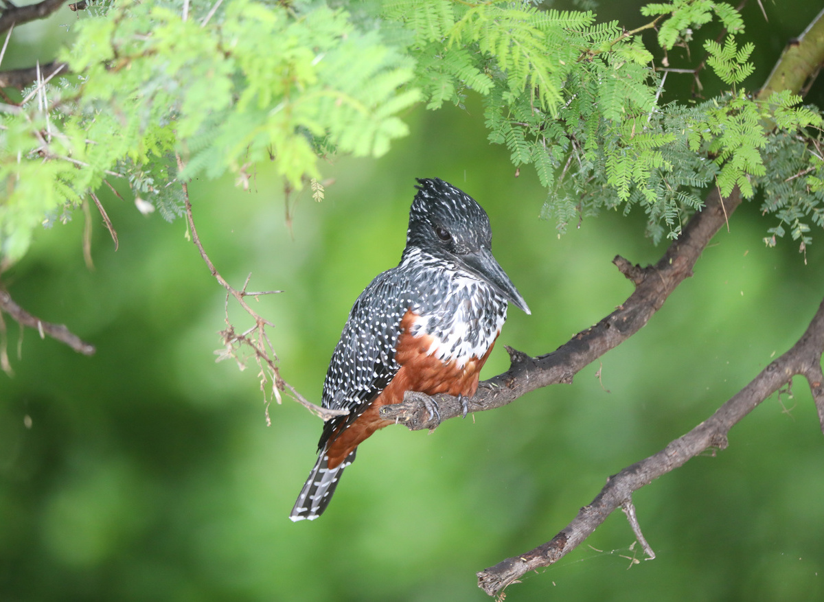 4470DF5F-C35C-462B-812EBA73C9B3D158_5