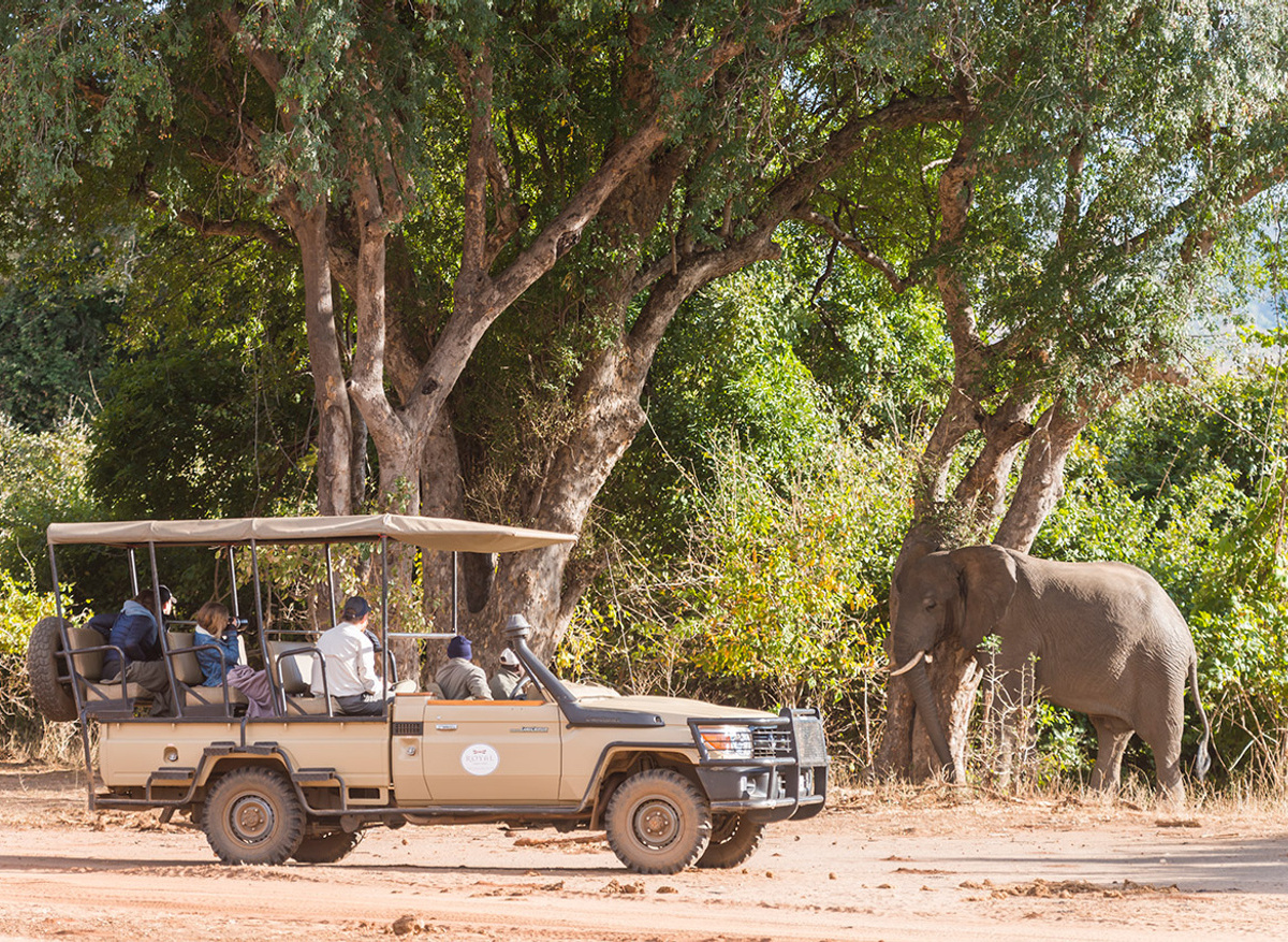 Royal Zambezi Lodge Game drive