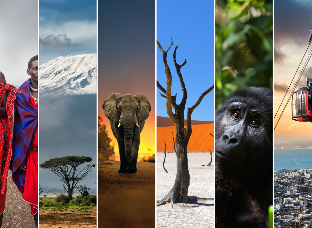 Cardinal Banner_2023_385 x 250 px_Large File.jpg