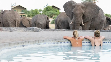 elephant+sands.png