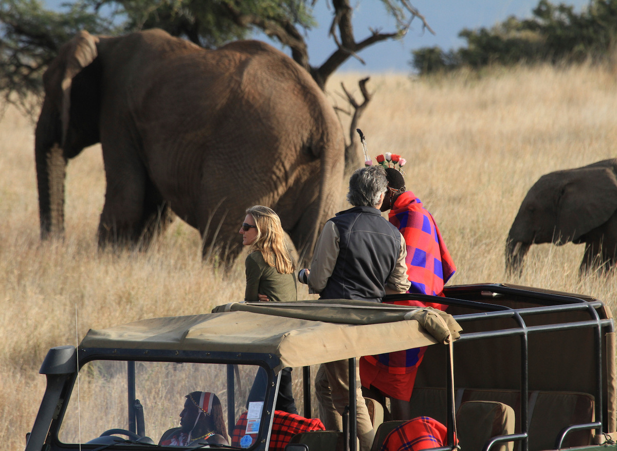 Game drive 5.jpg