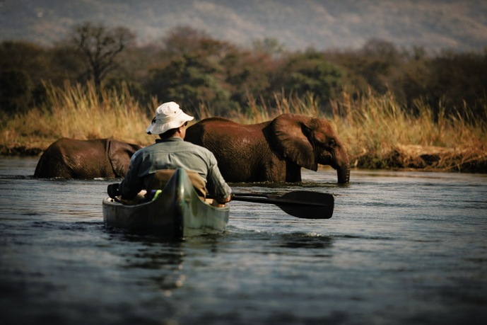 Man+Canoeing+at+Mana+Pools%2C+Zimbabwe.png