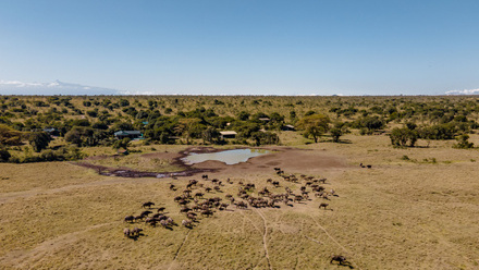 Waterhole+at+porini-rhino-camp-20.jpg