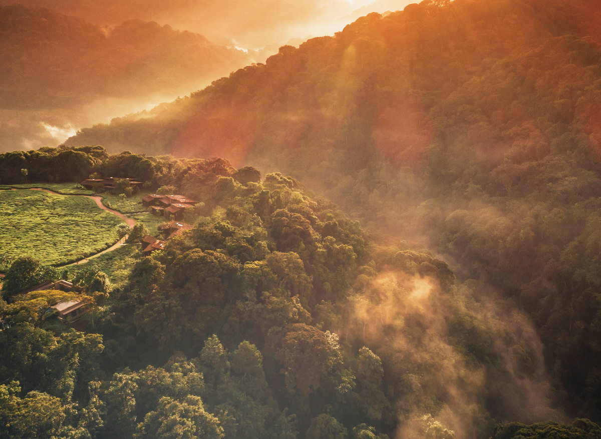One&Only Nyungwe House _ Aerial View