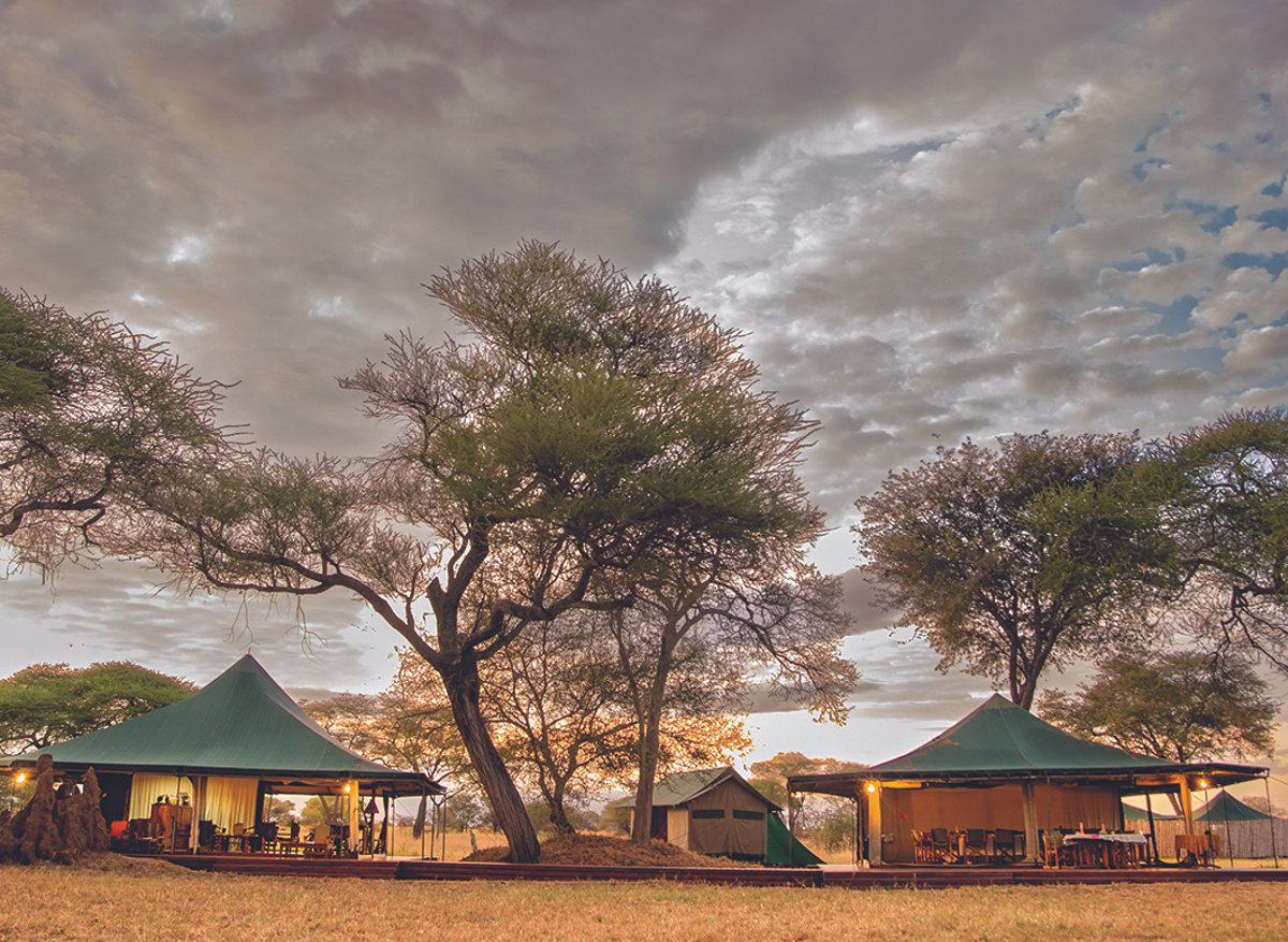 Tarangire Camp
