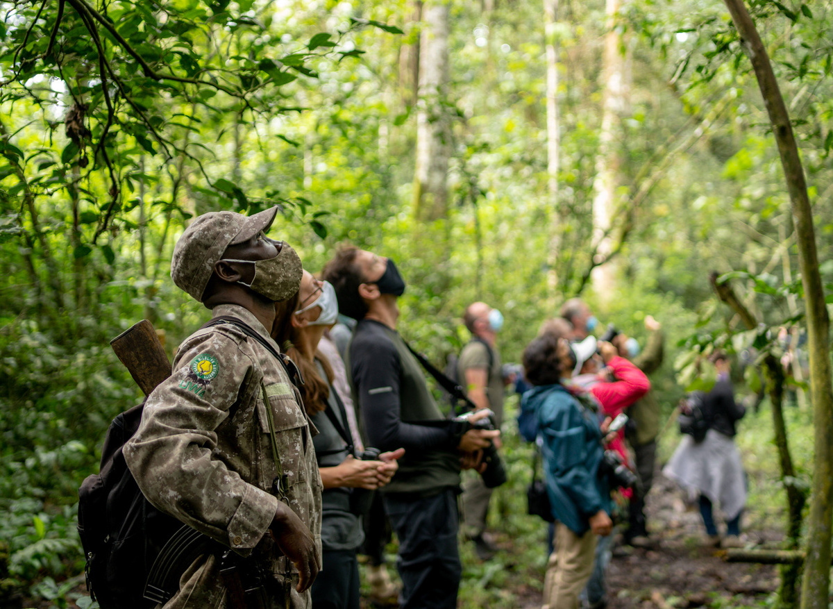 Nature walks in Kibale 