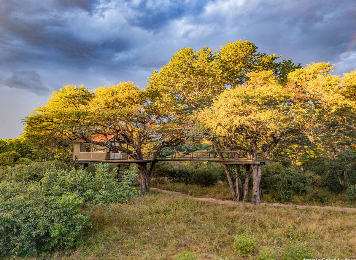Tum Tum Treehouse Lodge - Treehouse Babbler
