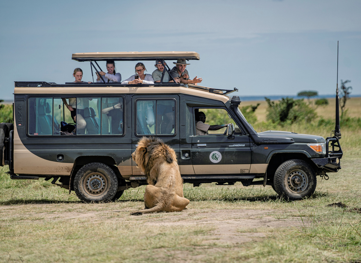 Game Drive in Masai Mara