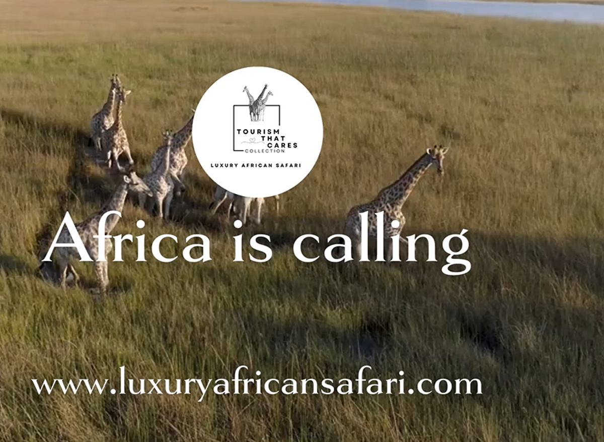 7A4EF347-3CED-4499-99C95672DE2A39F1_15