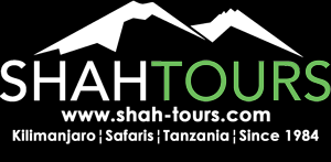Shah Tours.png