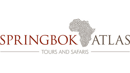 springbok logo.jpg