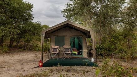 Okavango Promo image.jpg