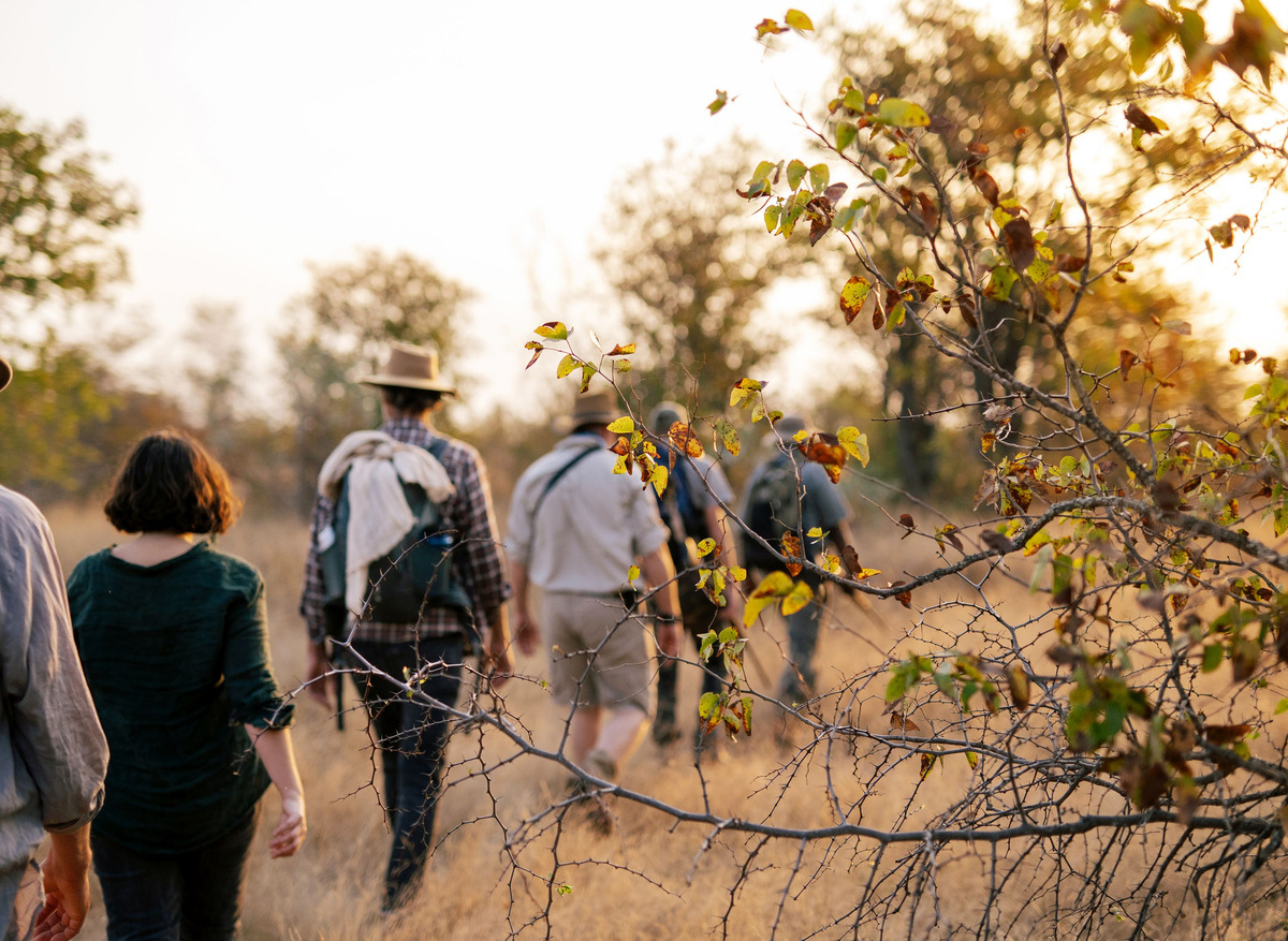 Simbavati-Trails-Camp