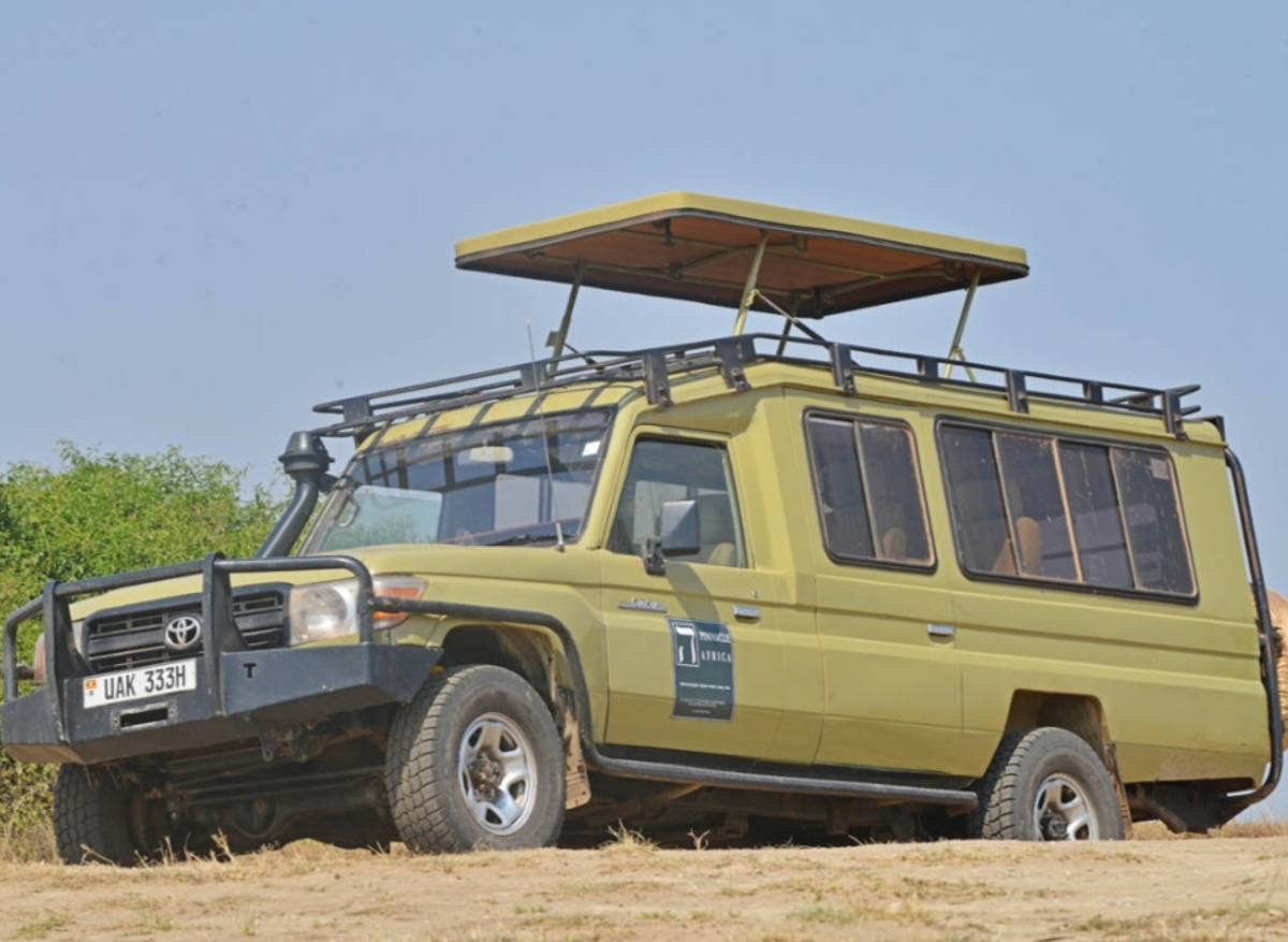 Safari Car.jpg