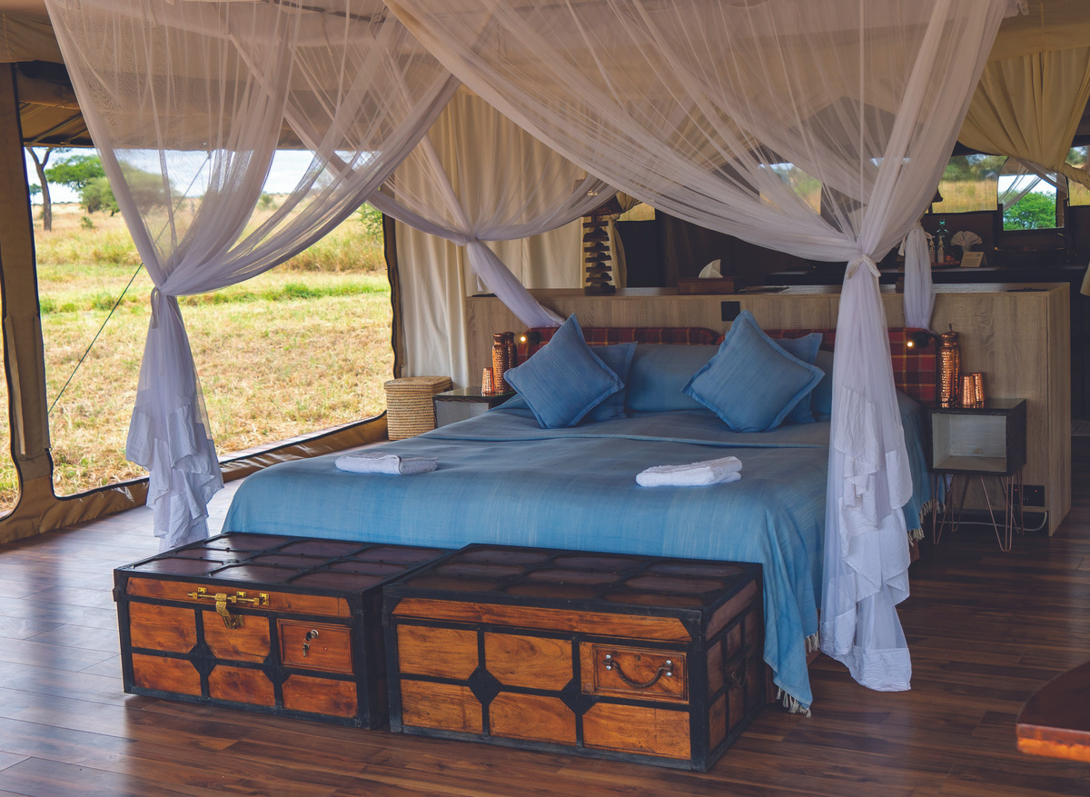 Honey Guide  (16).jpg