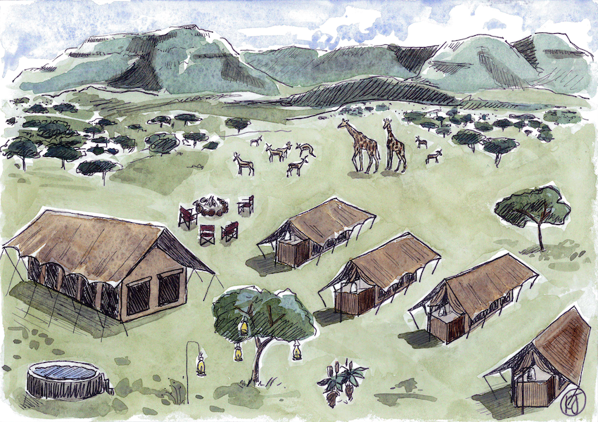 Samara-Plains-Camp-wide-Kelly-Jackson-illustrations-smaller.png