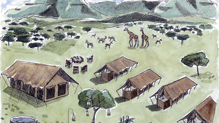 Samara-Plains-Camp-wide-Kelly-Jackson-illustrations-smaller.png