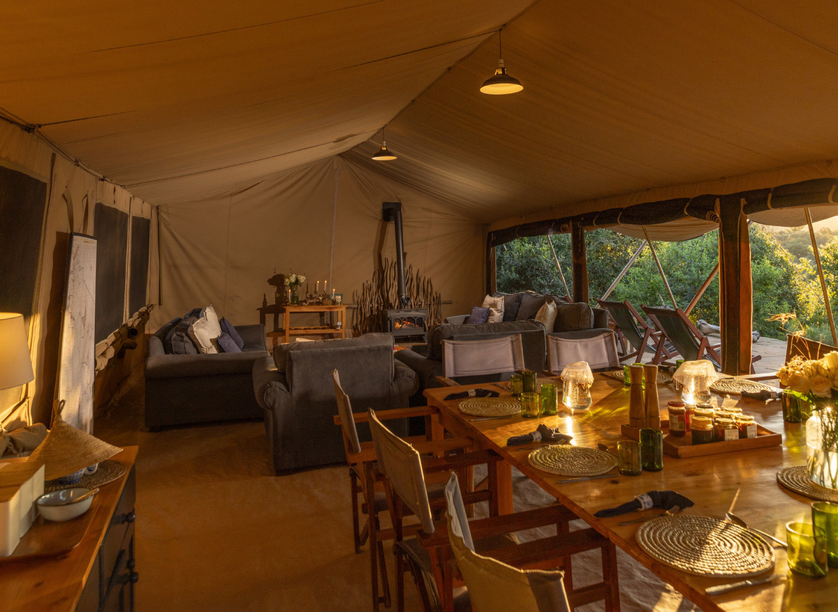 Silverless Safari Series_135.jpg
