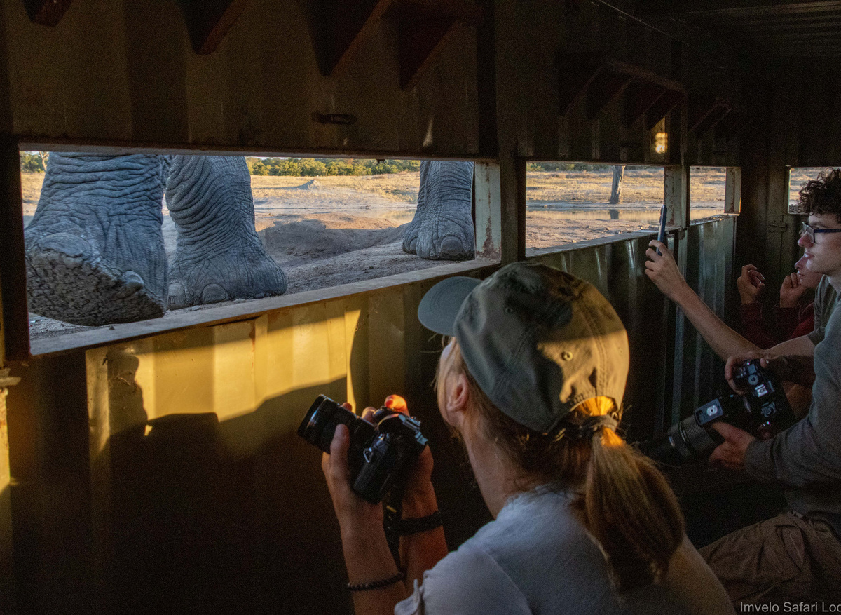 Jozibanini Camp - Look Up Hide