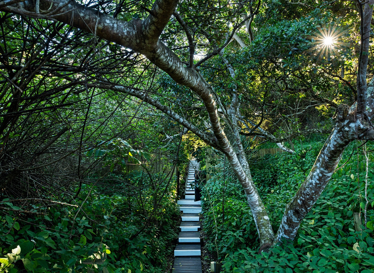 Prana Forest Walkway