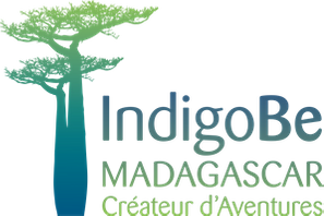 Indigo Be Madagascar SARL