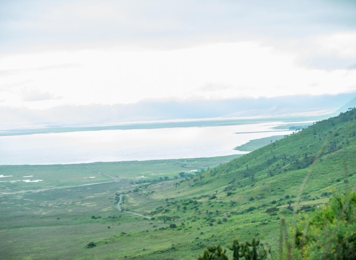 Ngorongoro crater