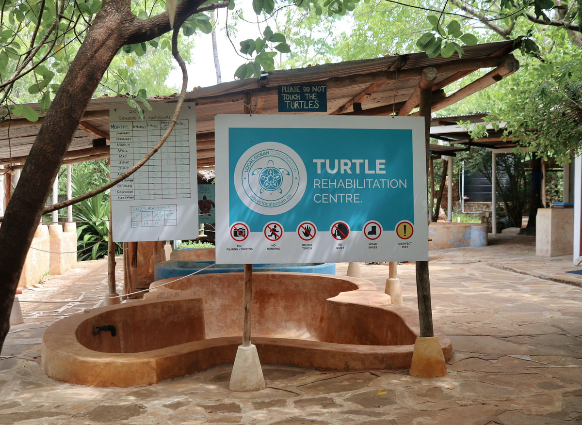 Turtle rehab.jpeg