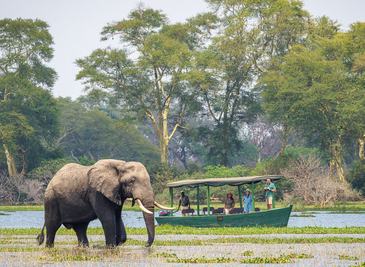 Kuthengo Camp - Liwonde National Park, Malawi