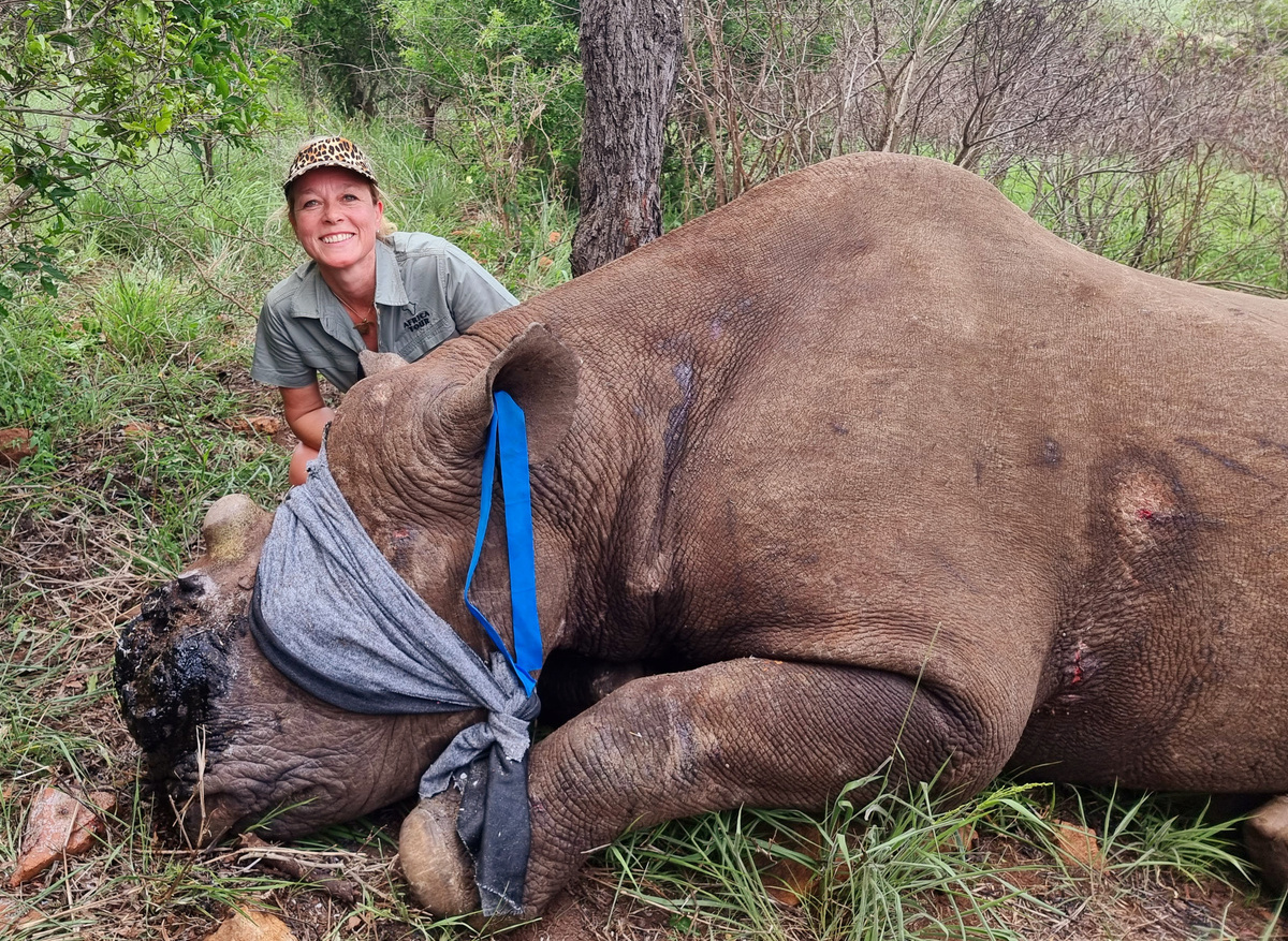 Rhino Dehorning South Africa
