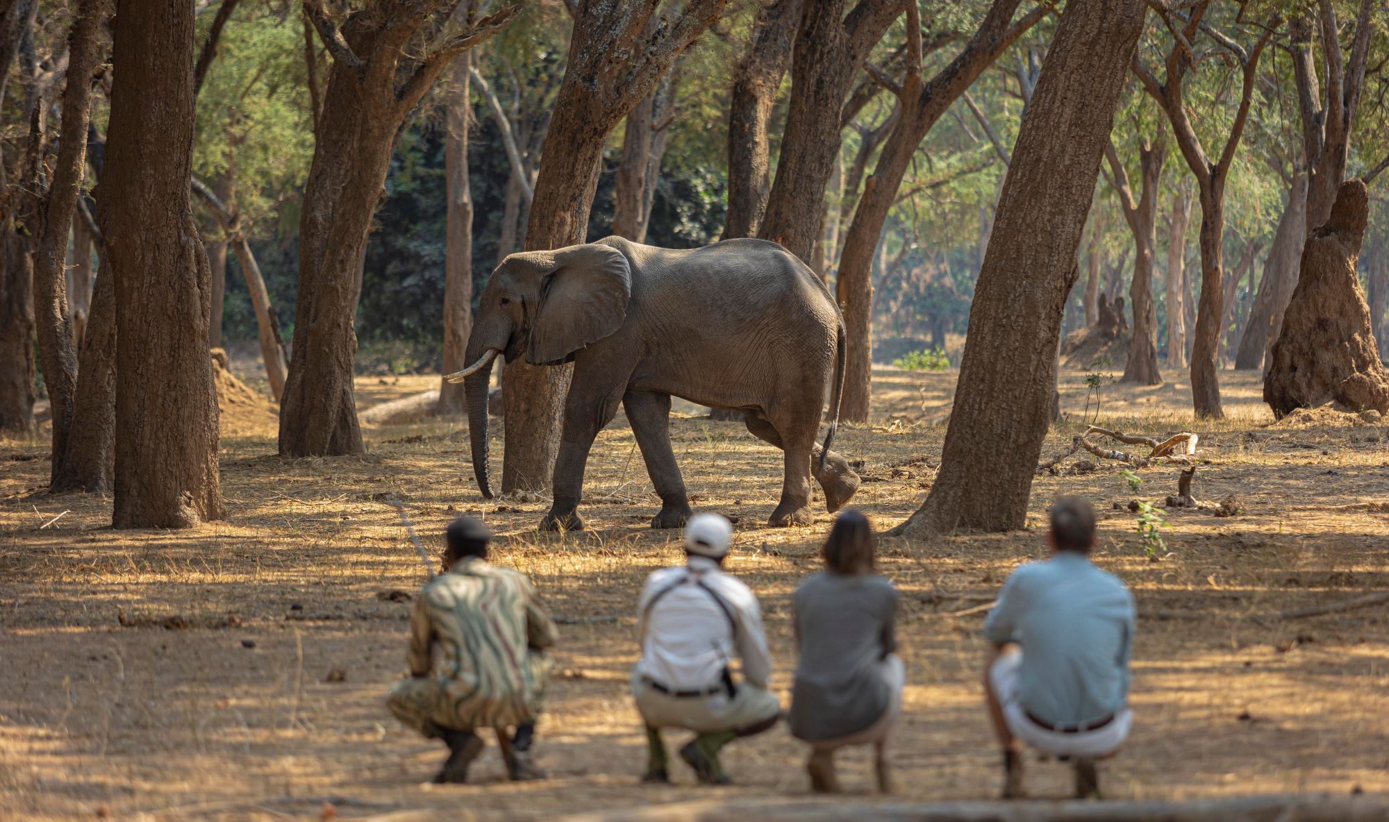 Royal Zambezi 2022-490.1.jpg