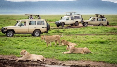 Safari-image-courtesy-of-A.Tairo_.jpg