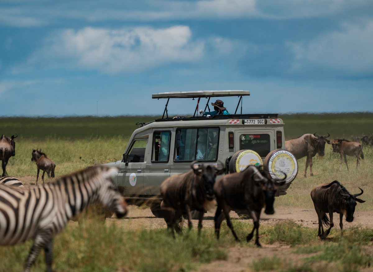 Classic Serengeti Wildlife Safari Experience
